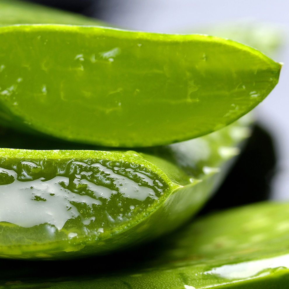 body shop aloe vera tagescreme The Body Shop Aloe Soothing Day Cream main image 1