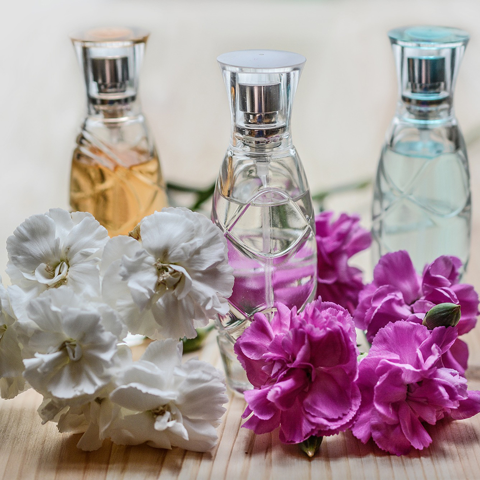 Duftnoten - Das Geheimnis eines Parfums